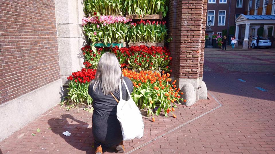 Laura taking photos of tulips in Amsterdam 
