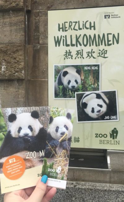 Four Hours In Berlin Zoo