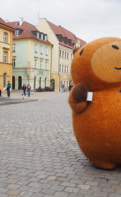 33 things to do in Wroclaw that you shouldn’t miss out on